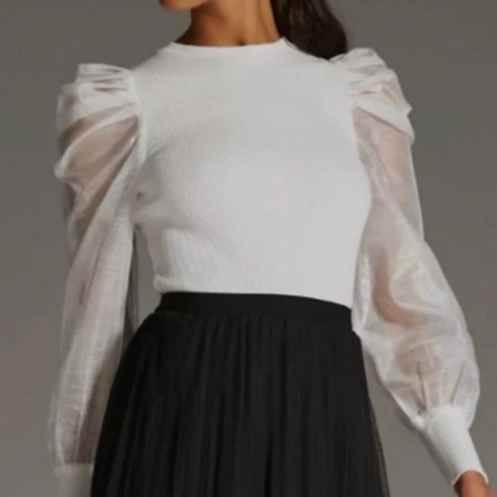 Dolan Organza Puff Sleeve Top